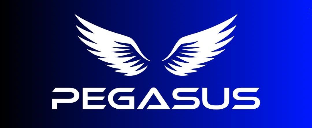 Pegasus Gym