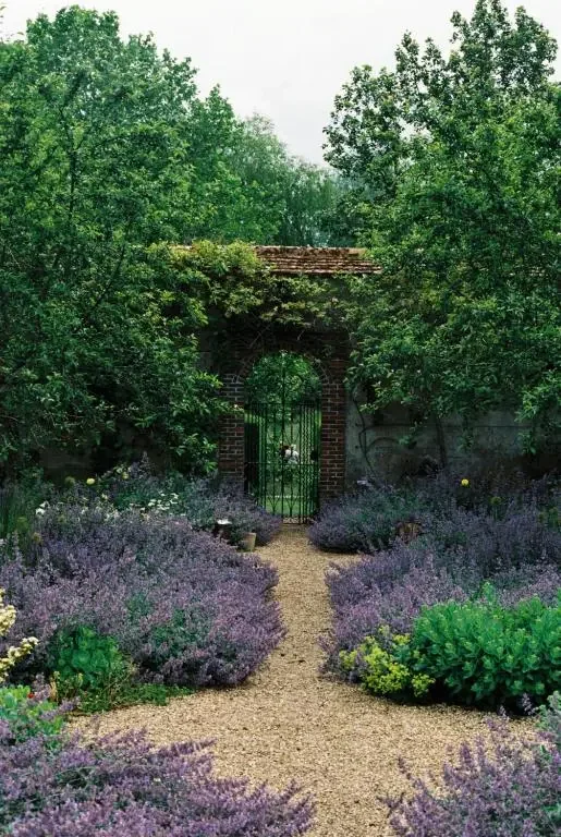 A garden path through lavender at Ardour Milton Park