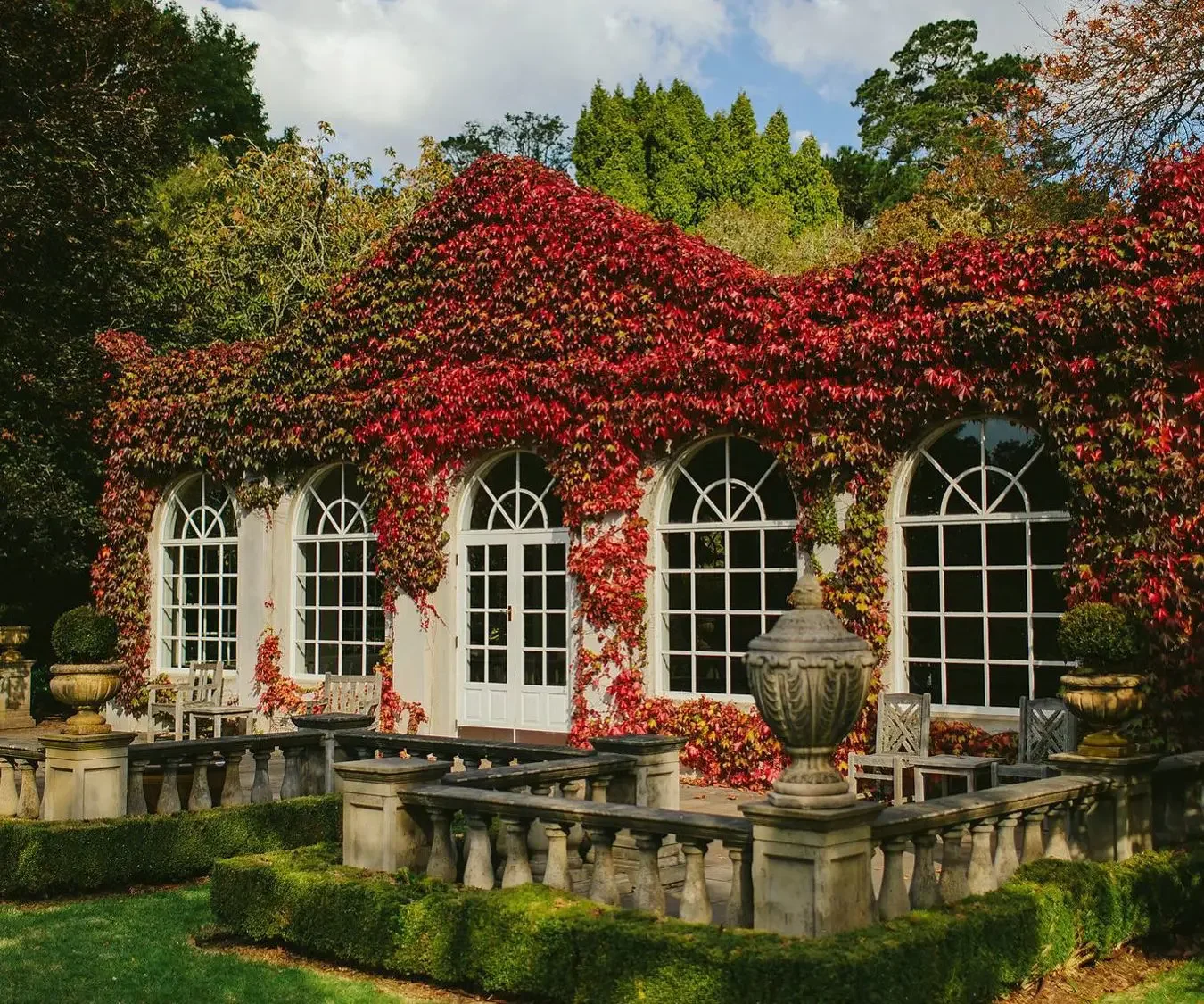 Ardour Milton Park's ivy-covered pavilion and gardens