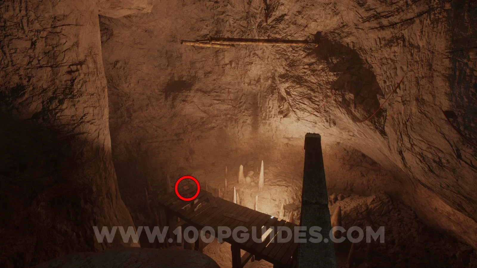 Terrible Lizards Chapter 2: Goo? note on the wooden walkway below the swing poles in the well lit cave