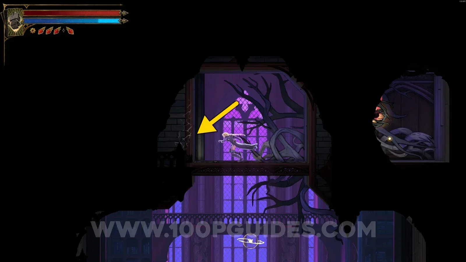 Castlevania Belmont's Curse Library Foyer: breaking the wall on the left to open a secret room