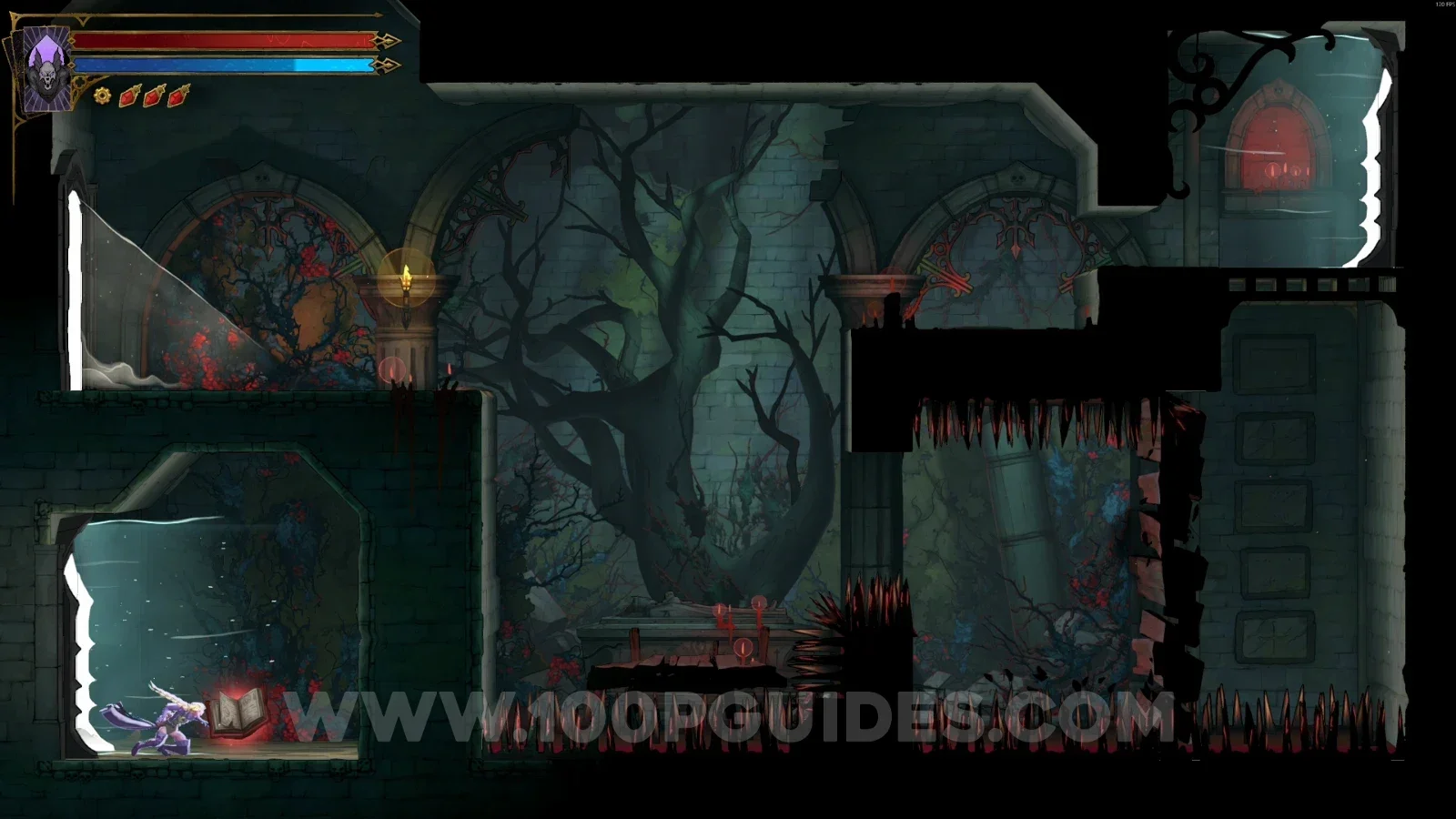 Castlevania Belmonts Curse Overgrown Crypt: Red Book #5 reached by using the portals