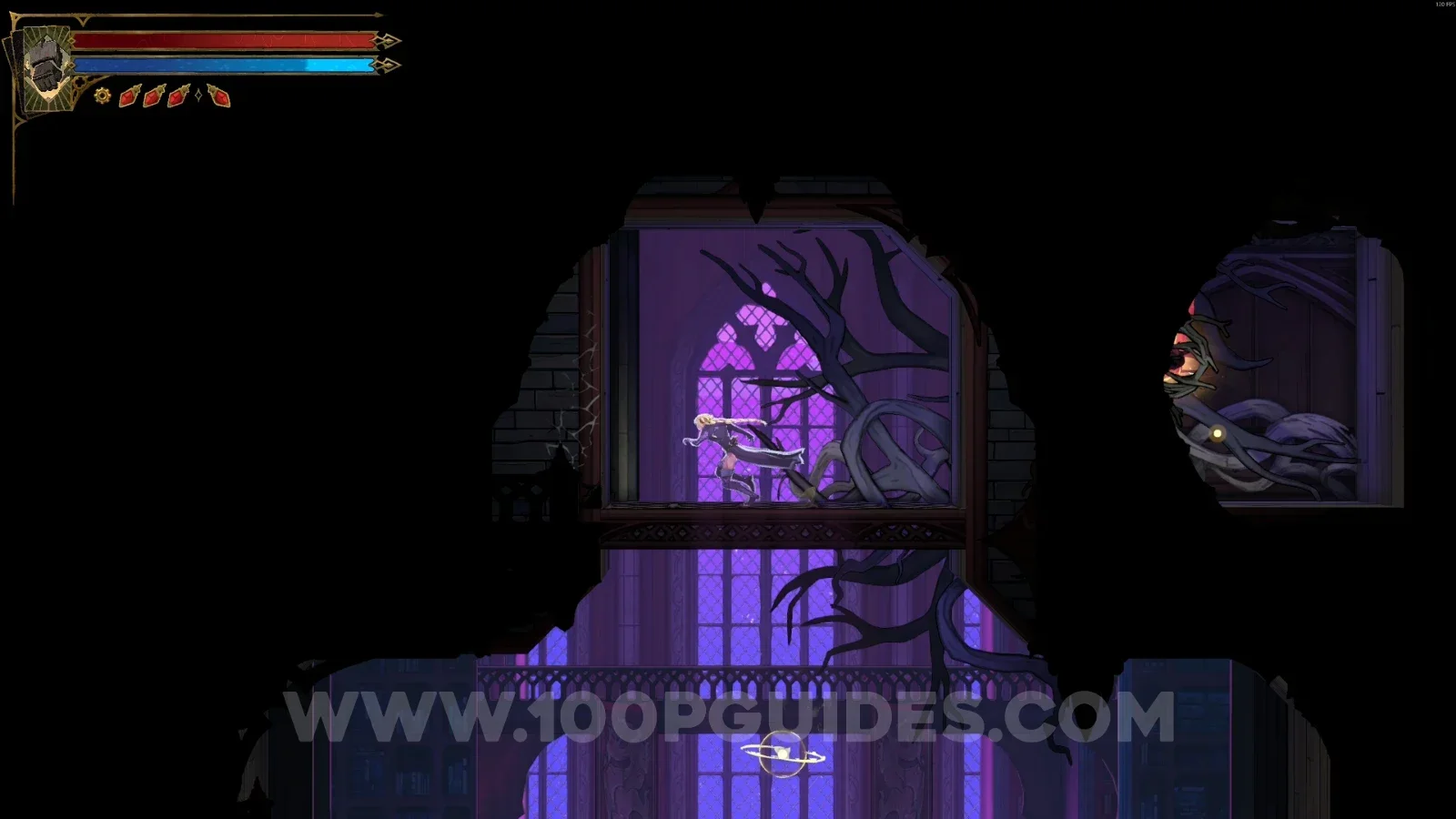 Castlevania Belmonts Curse Library Foyer: the wall on the left side to break for XP Statue #85