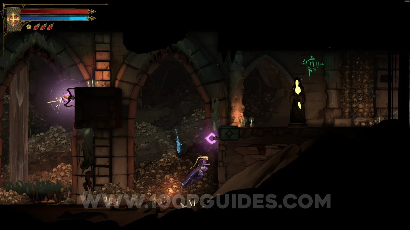Castlevania Belmonts Curse Charnel Galleries: XP Statue #5 after defeating some enemies