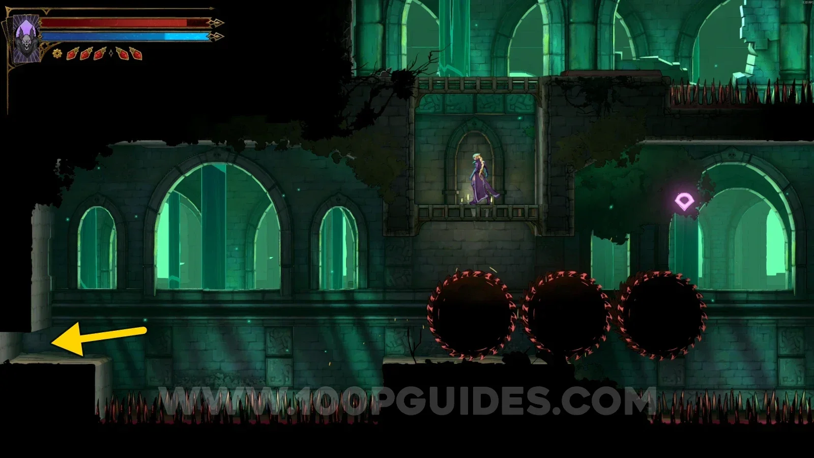 Castlevania Belmont's Curse Hot Springs: using the slide on the left side of the lower level