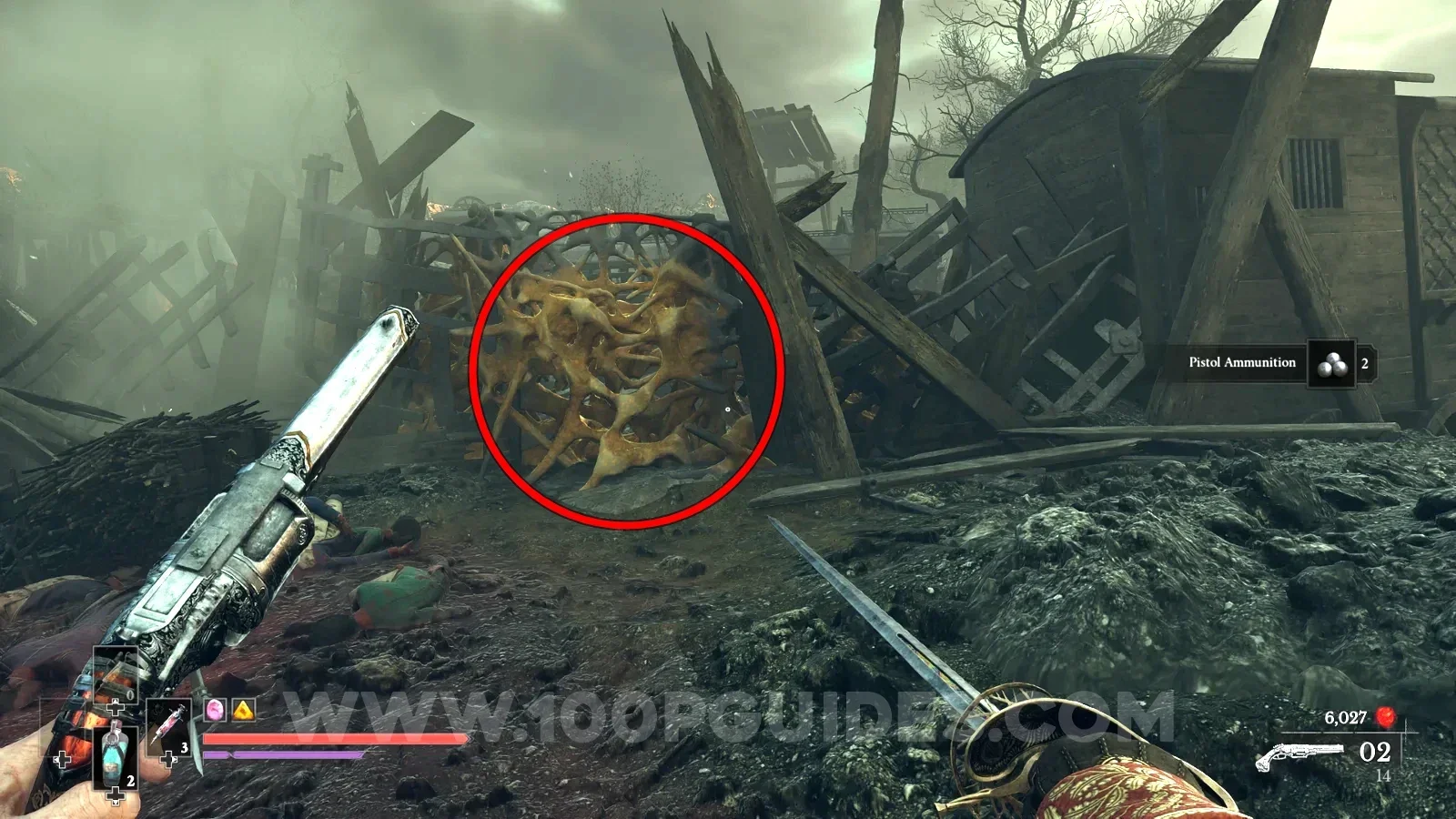 Valor Mortis All Amber Locations Screenshot 97