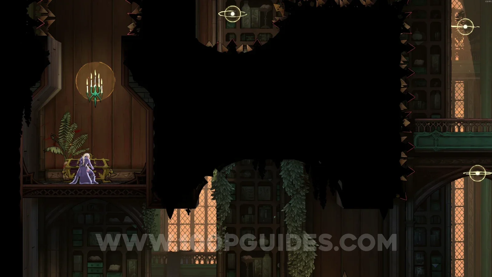 Castlevania Belmonts Curse Library: the chest with the Fleuret and Tower Shield