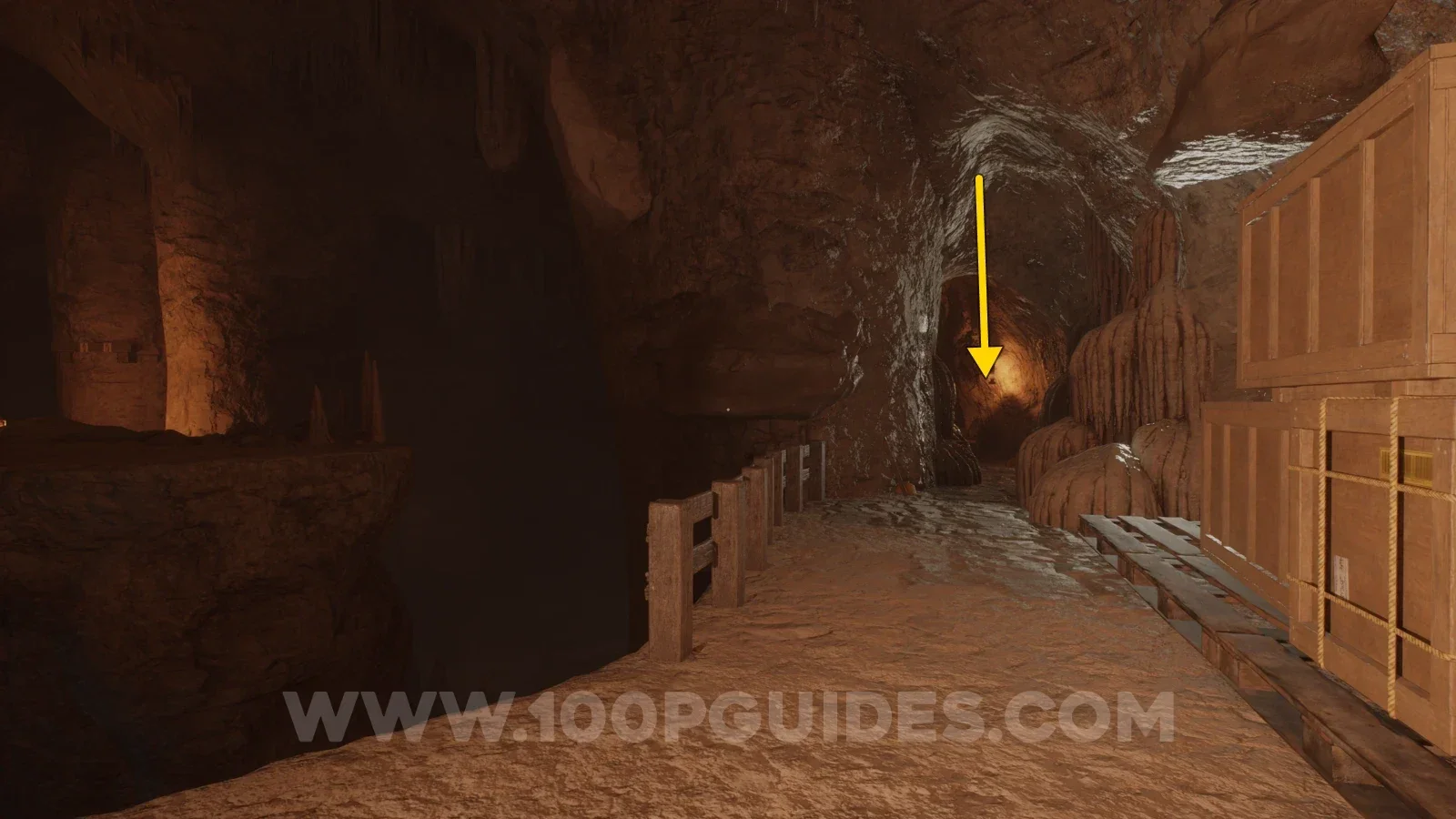 Terrible Lizards Chapter 2: Flooding? note in the small cave past the boxes after hanging on the wooden beams