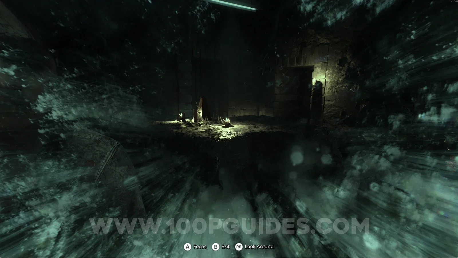 Remothered: Red Nuns Legacy Catacombs: revealing the lily next to the save point with the mirror