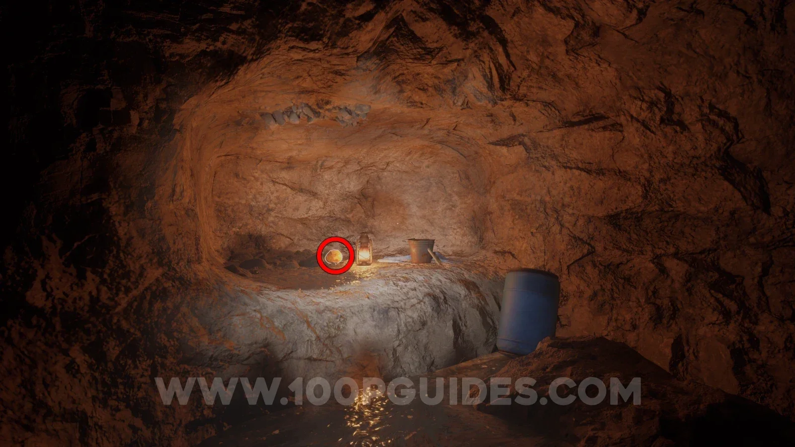 Terrible Lizards Chapter 2: Amber Specimen 07 in the small cave reached by the wooden blocks in the lift shaft
