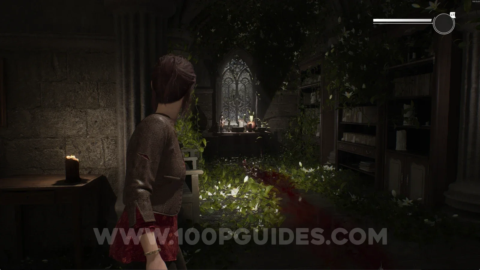 Remothered: Red Nuns Legacy Convent: the left path at the fork along the single path