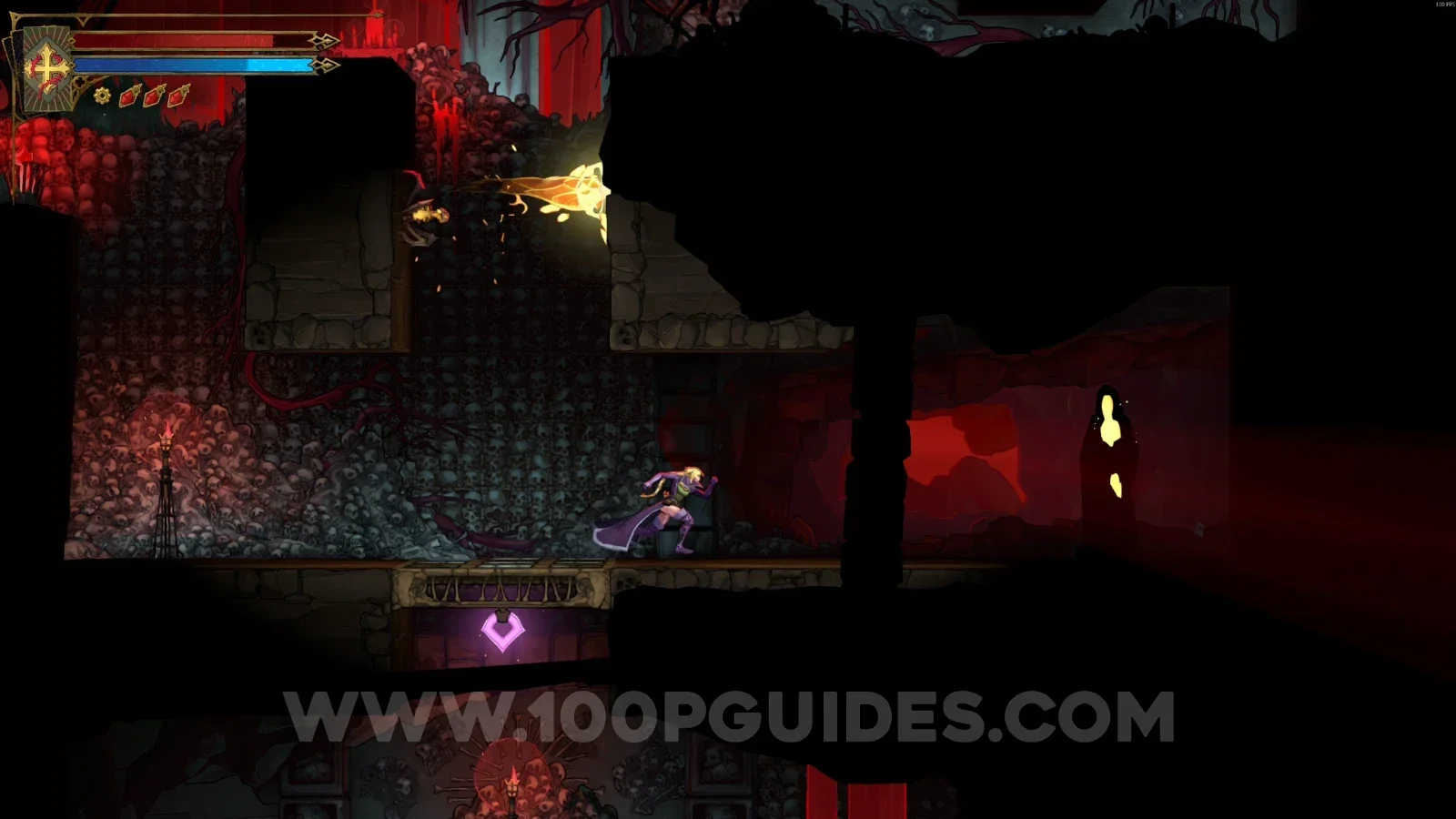 Castlevania Belmonts Curse Blood Pits: XP Statue #63 in the marked area