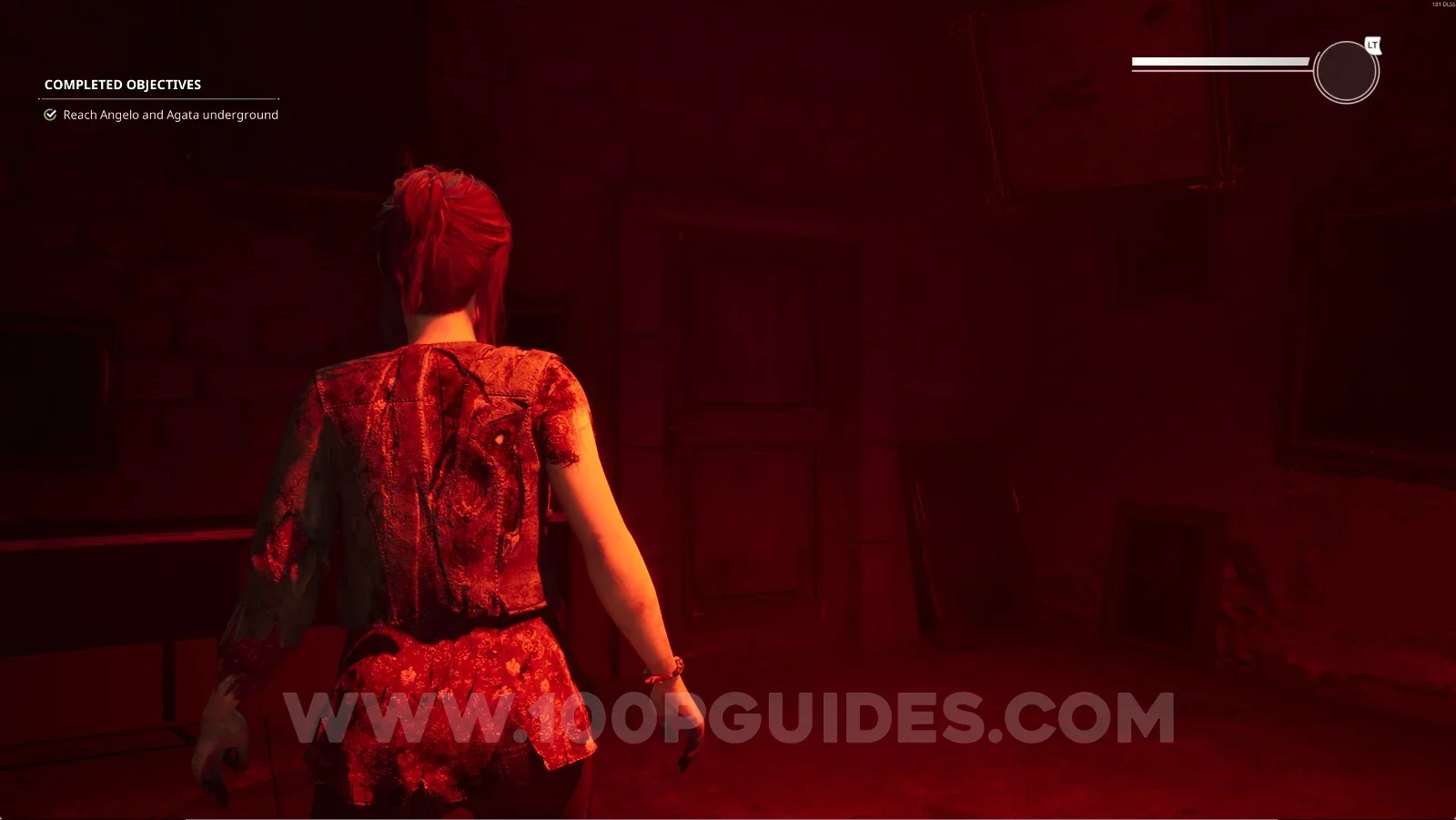 Remothered: Red Nuns Legacy Catacombs: interacting with the door to start the cutscene