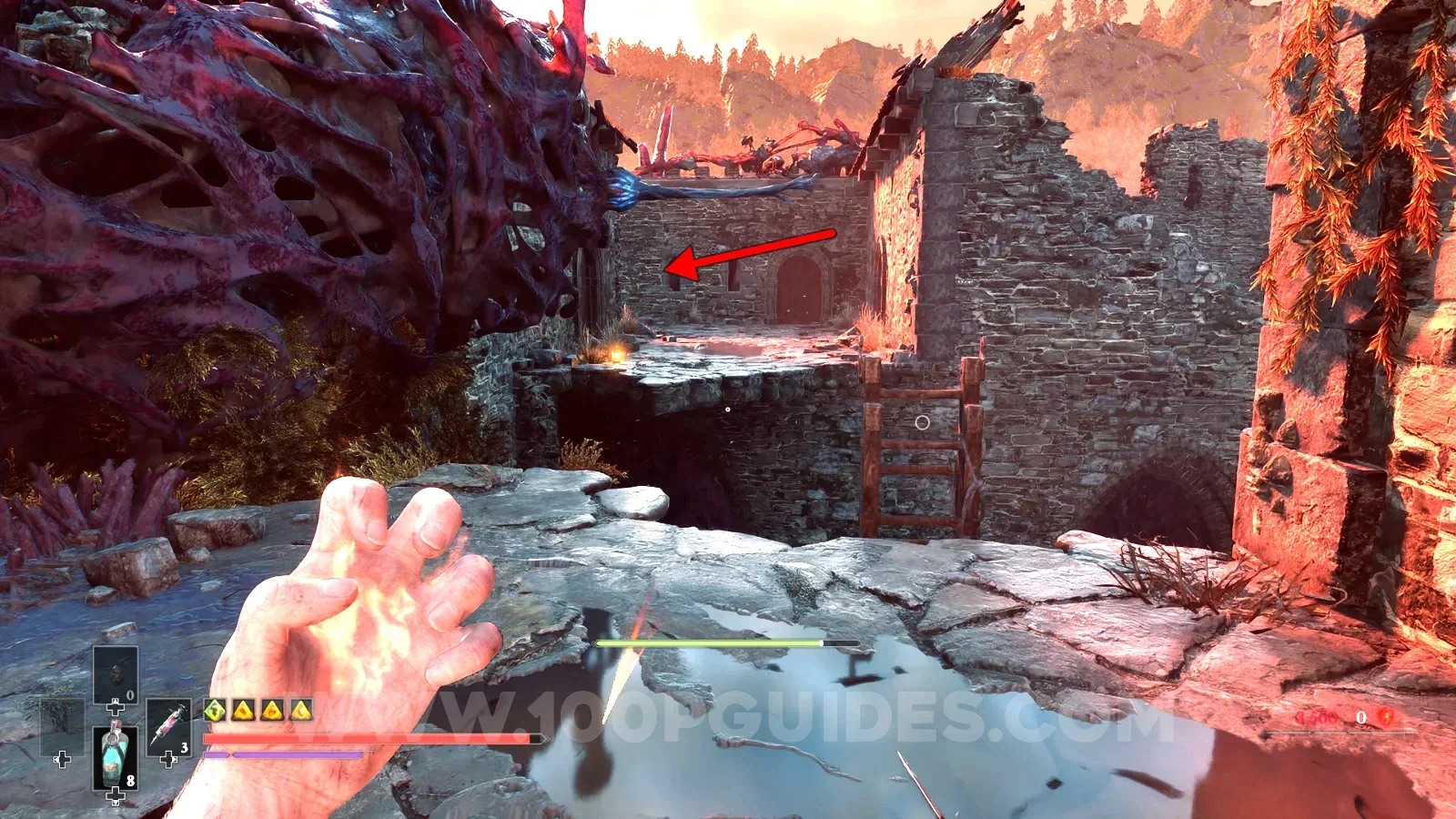 Trophy Screenshot 3