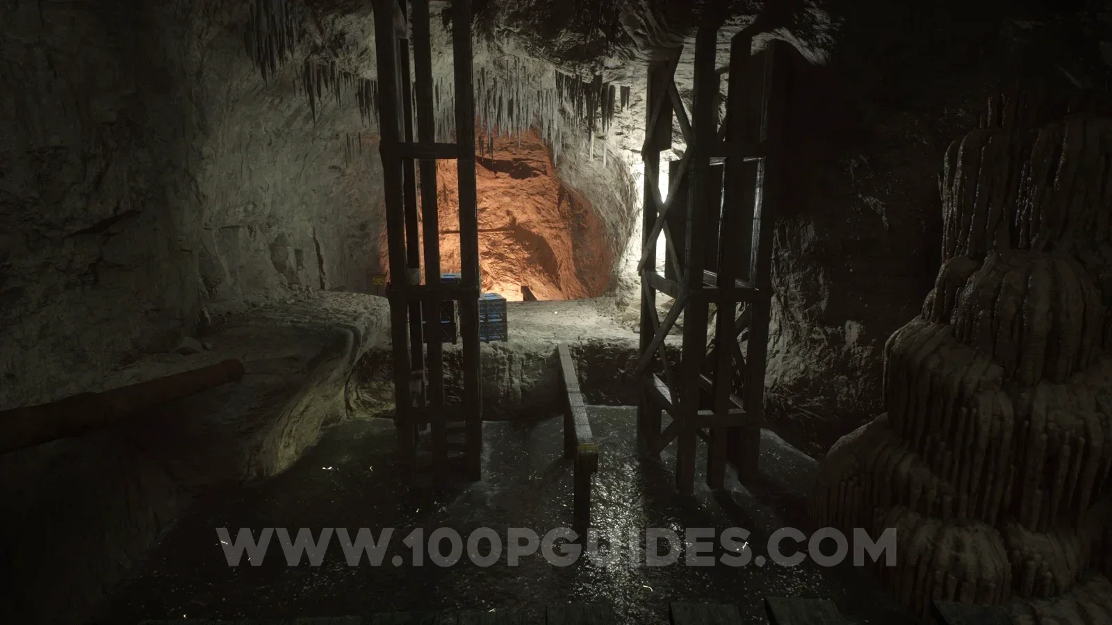Terrible Lizards Chapter 2: well lit cave with metal swing poles after the electrified water beams
