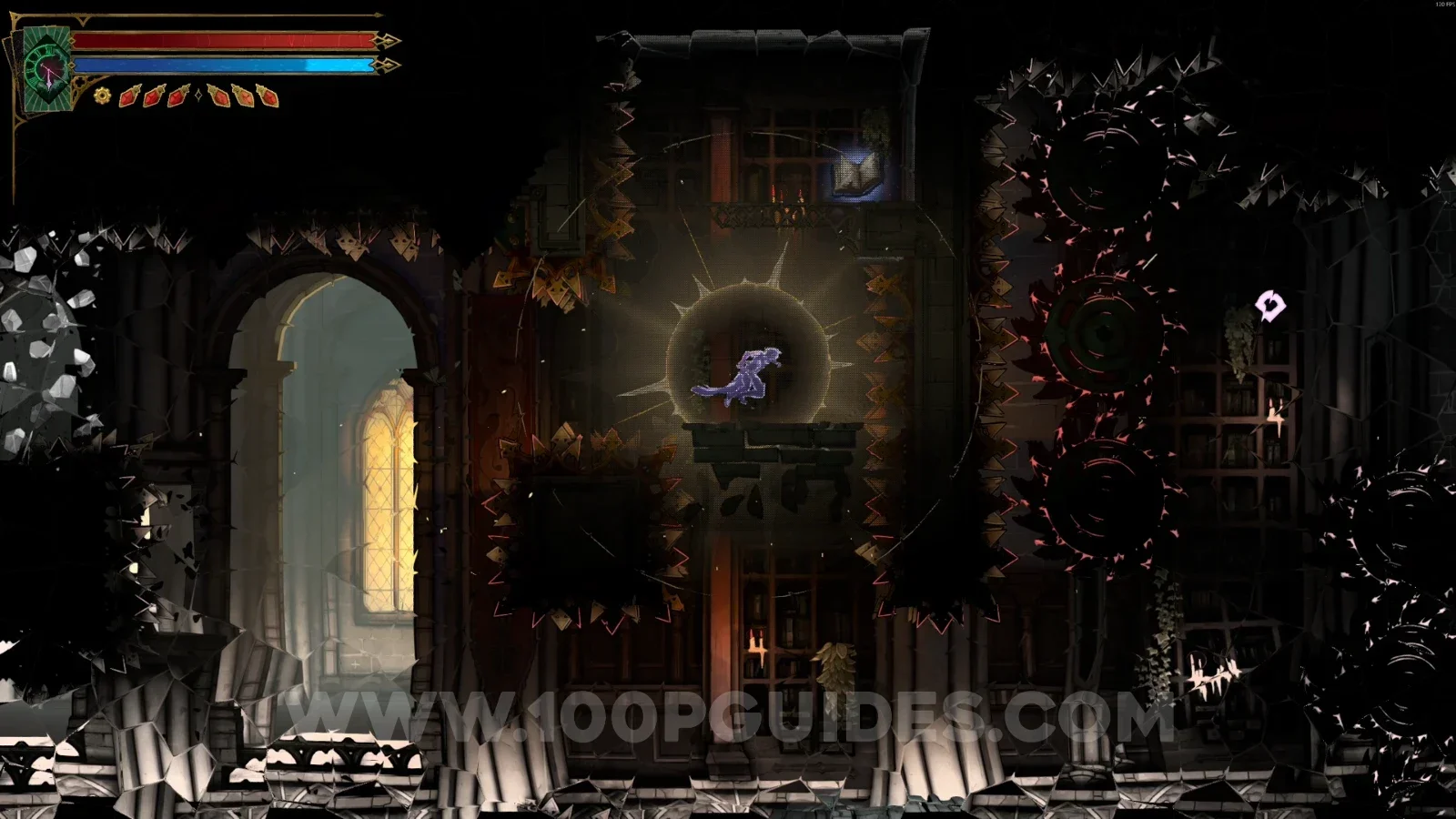 Castlevania Belmonts Curse Corridor Of Deja Vu: Blue Book #9 inside a small secret room