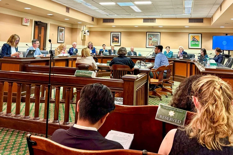 Damian Kevitt, Executive Director of SAFE, testifying at the CA Assembly