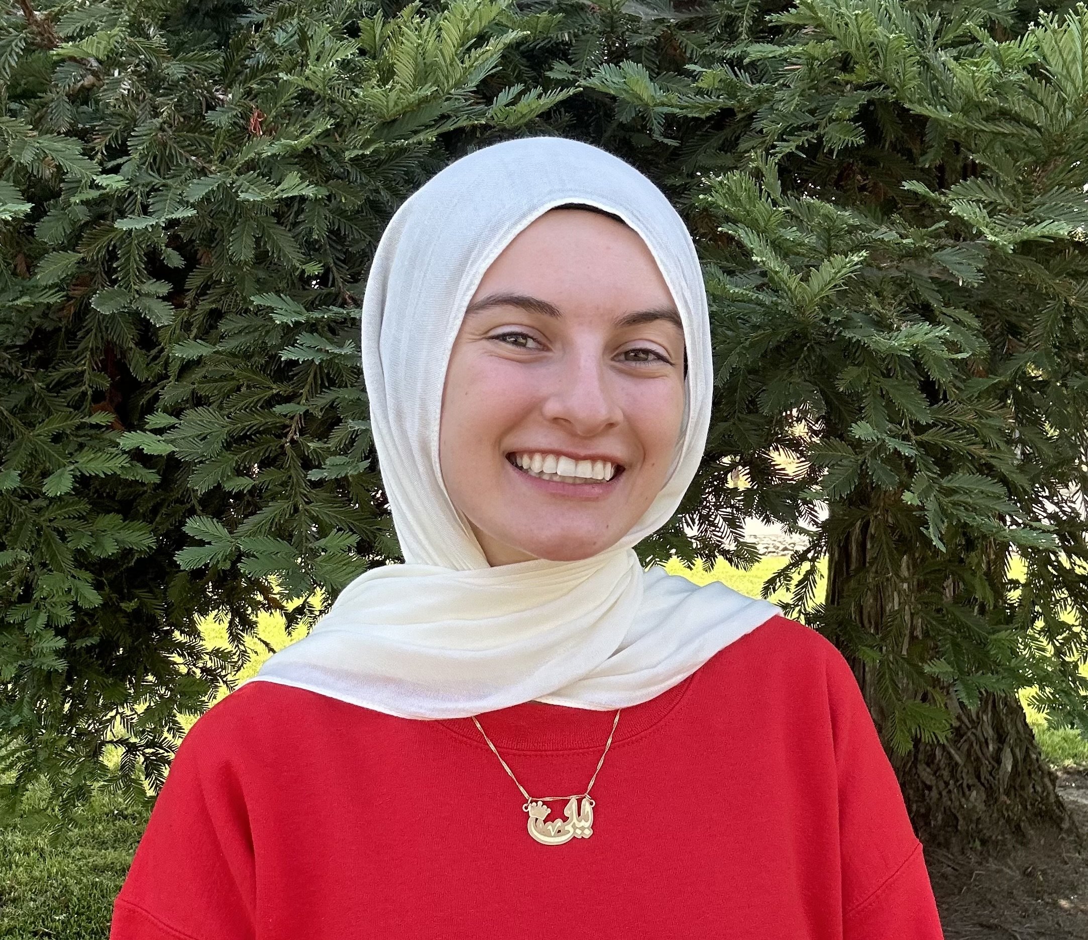 Laila Abed