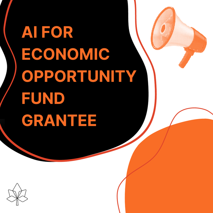AI for Economic Opportunity Fund Grantee