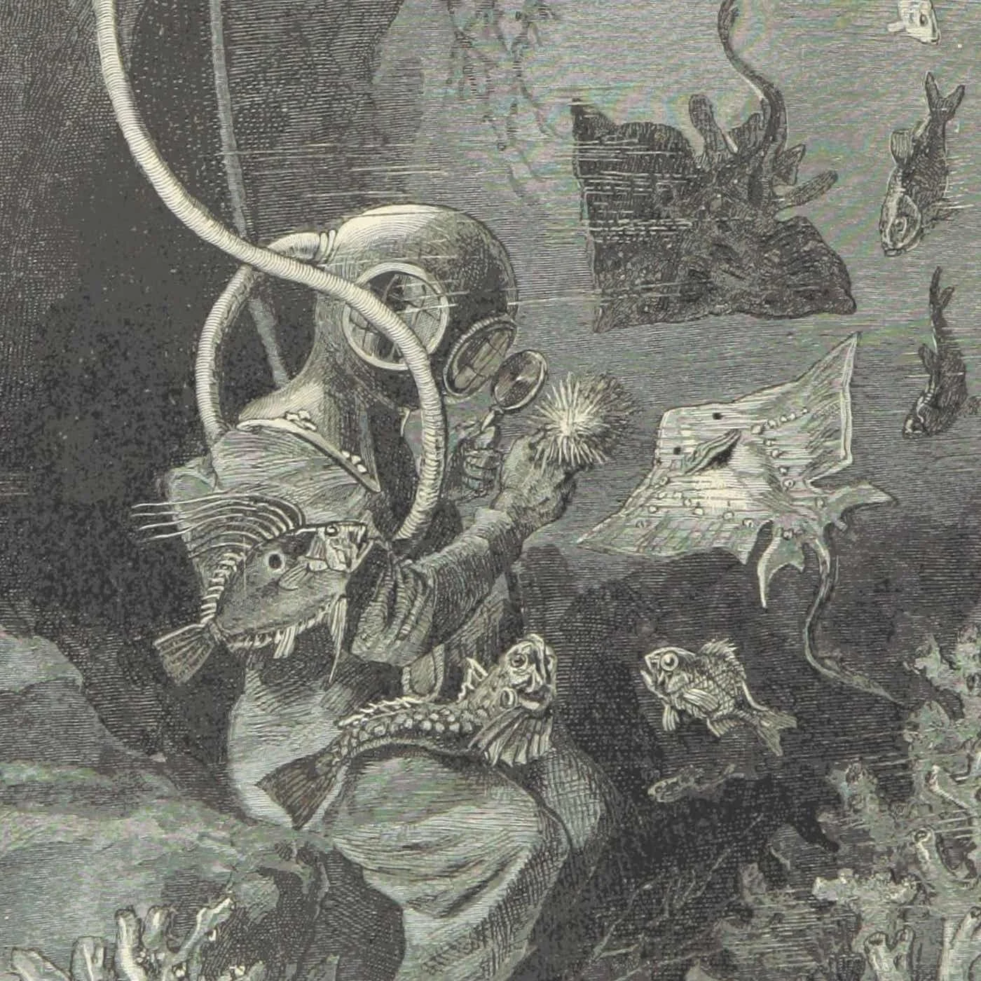 NeuroDiving official show artwork