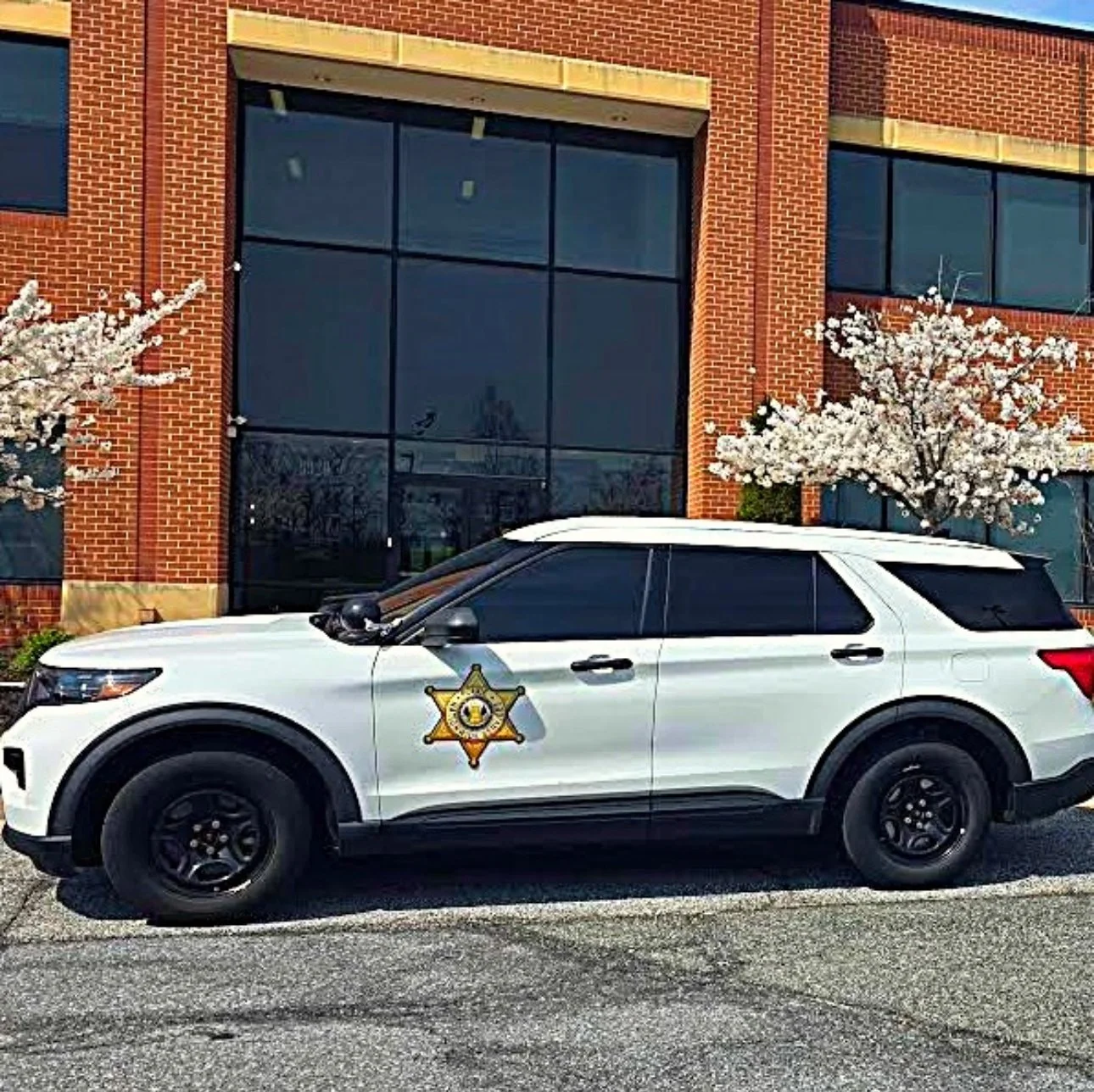 Roving vehicle patrol security