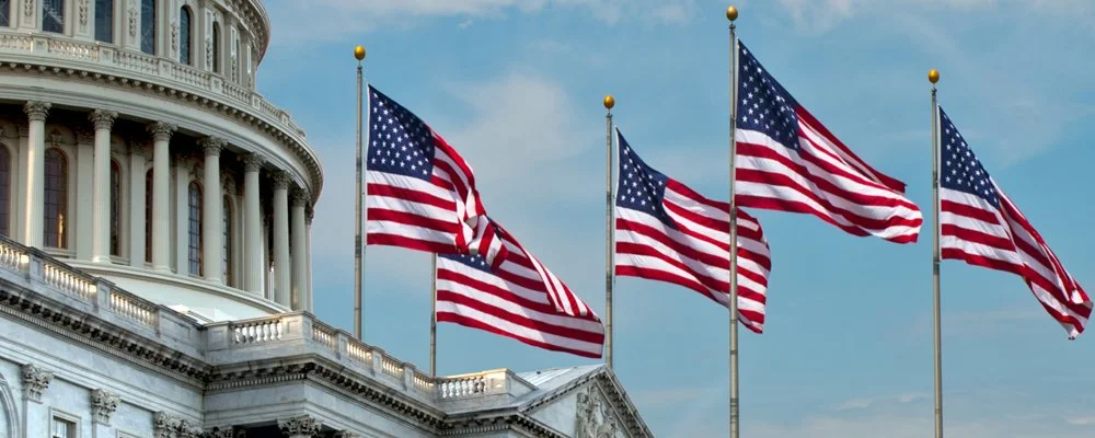 Government federal state contract security