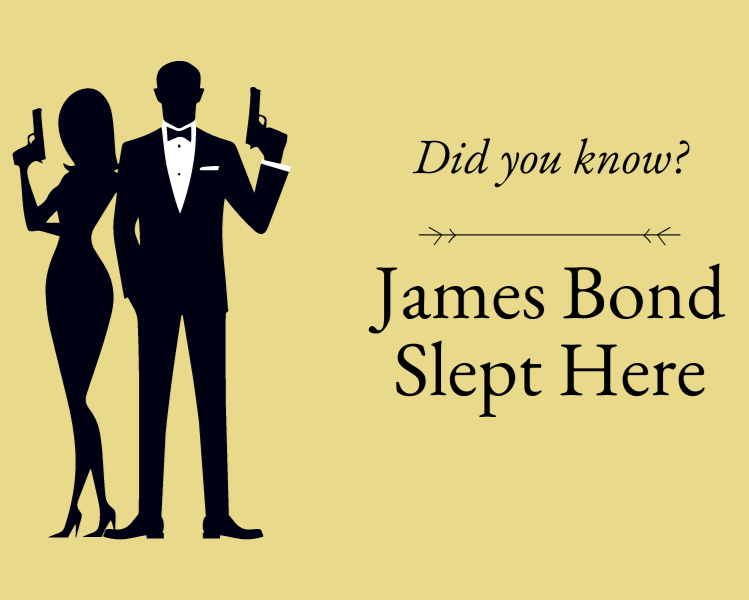 Graphic depicting James Bond and his lover during their adventures in Lake George.