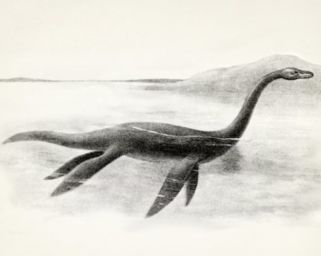Illustration of Champ, the legendary monster of Lake Champlain.