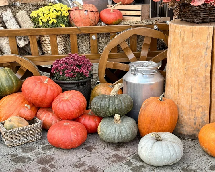 Best events in the Adirondacks this weekend