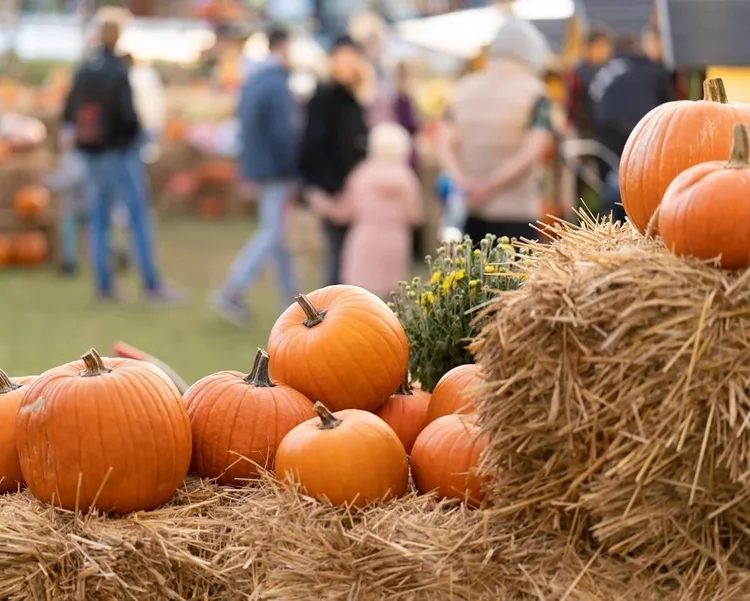Best events in the Adirondacks this weekend