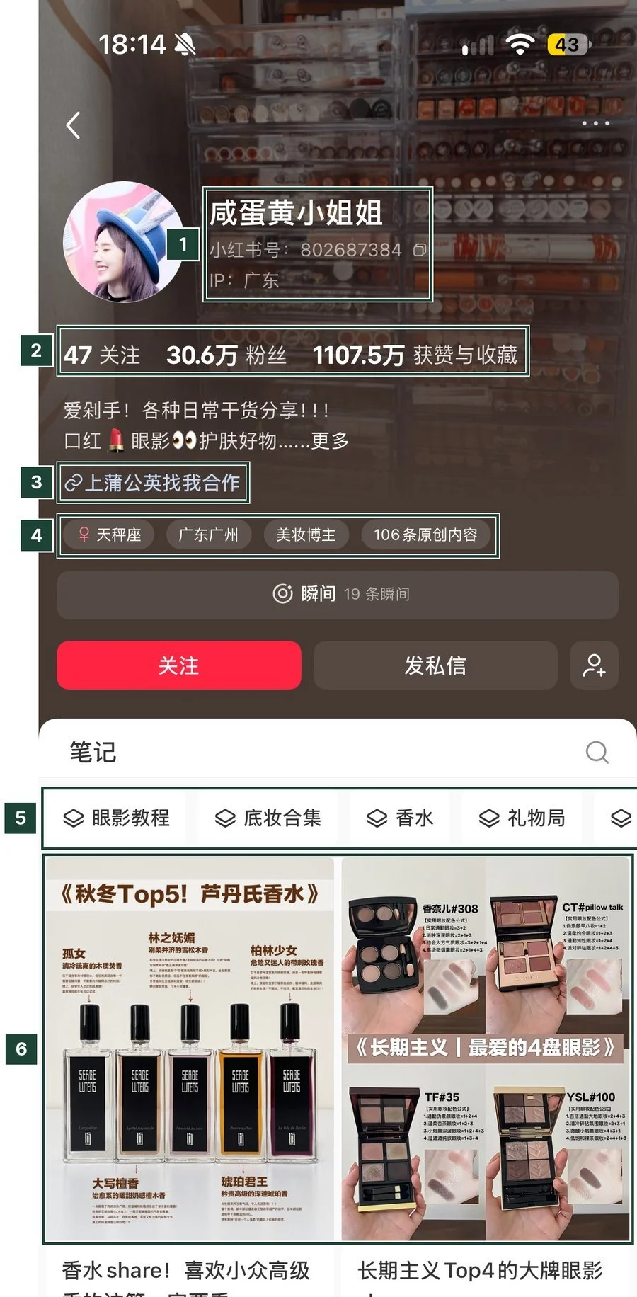 Little Red Book beauty creator profile with follower count, likes and saves, Pugongying collaboration link, tags and note collections