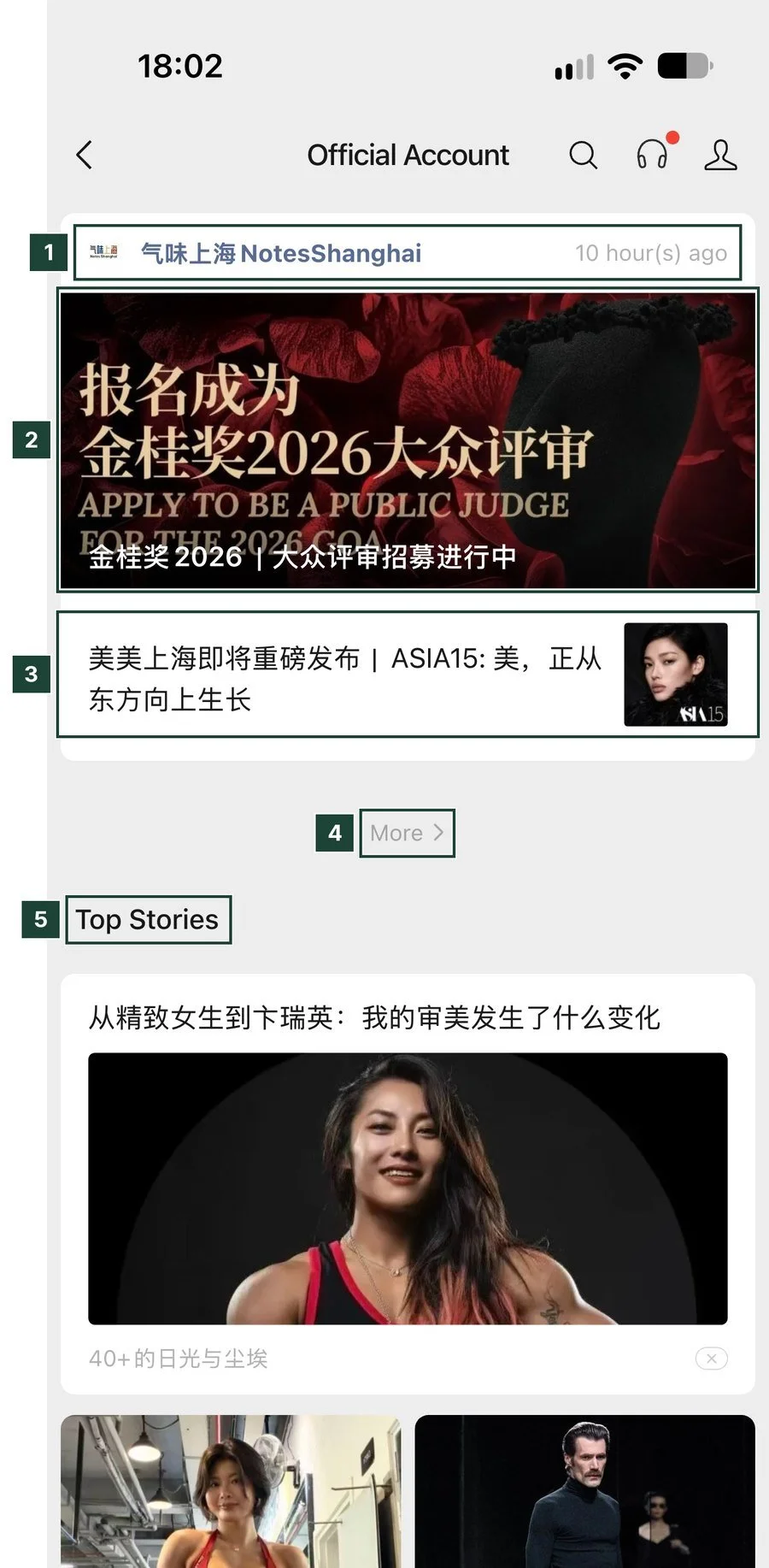 WeChat Official Accounts feed showing a headline article with large cover, a second article, the More link and Top Stories