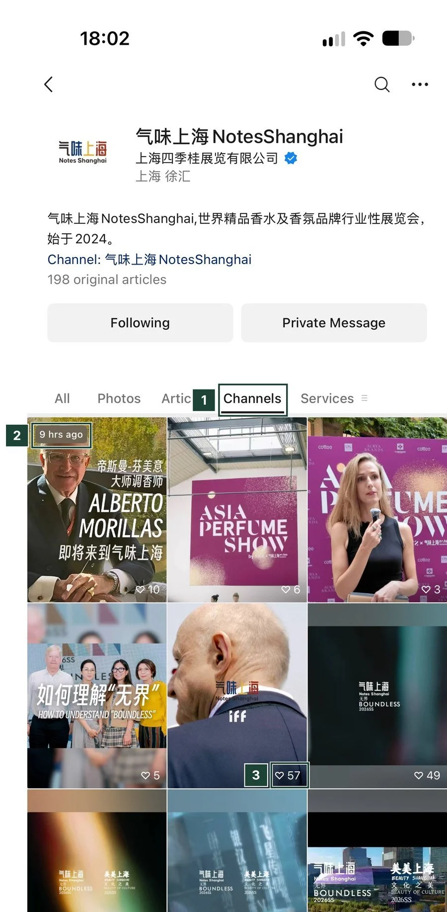 WeChat Official Account profile on the Channels tab with a grid of short videos and like counts