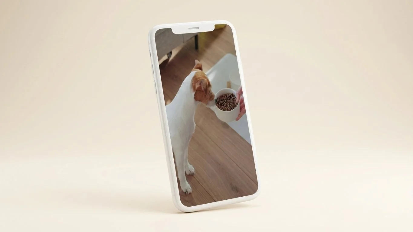 iPhone mockup showing a pet owner feeding their dog — KOC seeding campaigns on Xiaohongshu and Douyin rely on authentic pet content like this