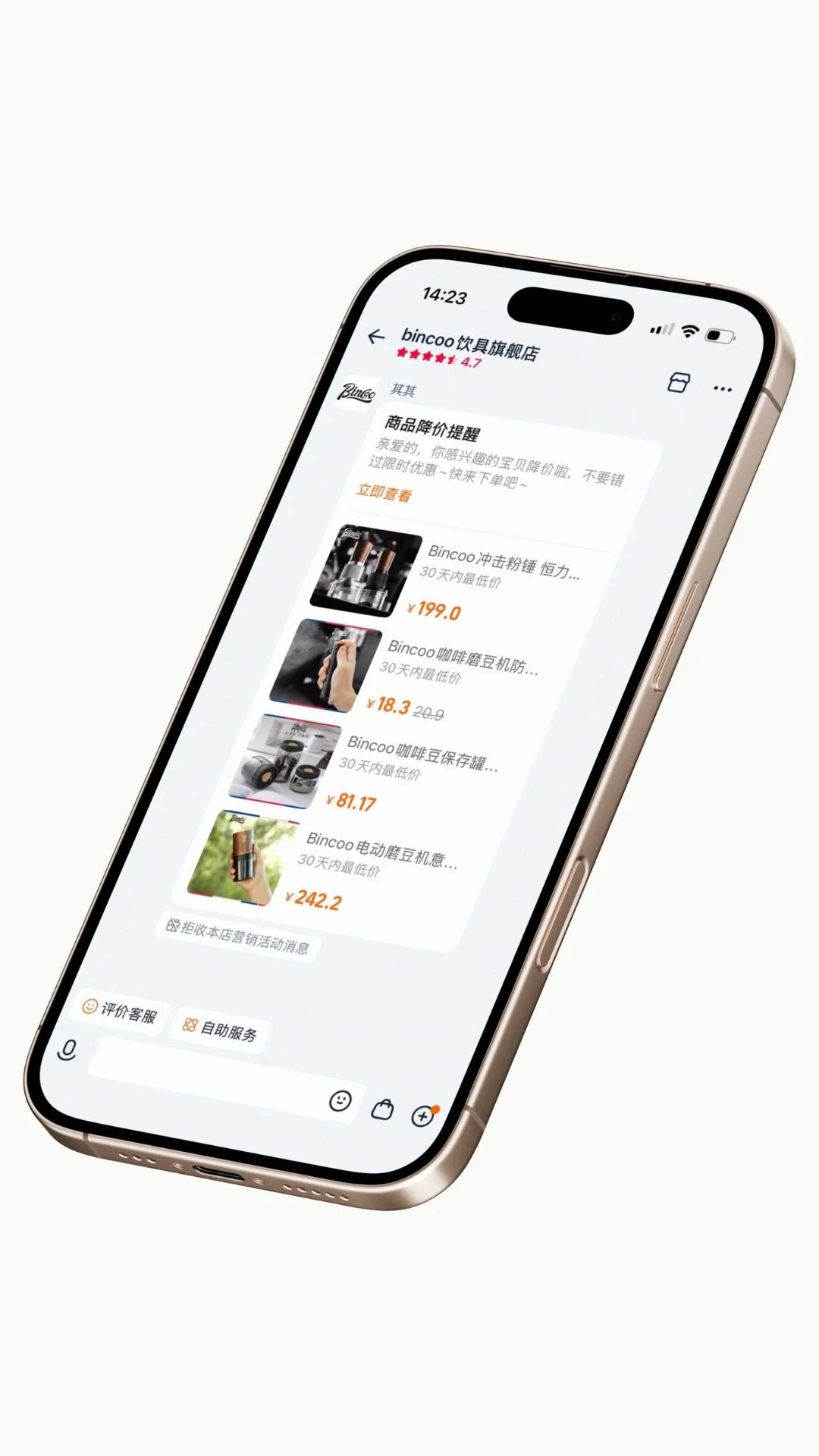 Tmall store customer service chat interface showing real-time buyer-seller communication in Chinese — one of the core services a Tmall Partner provides