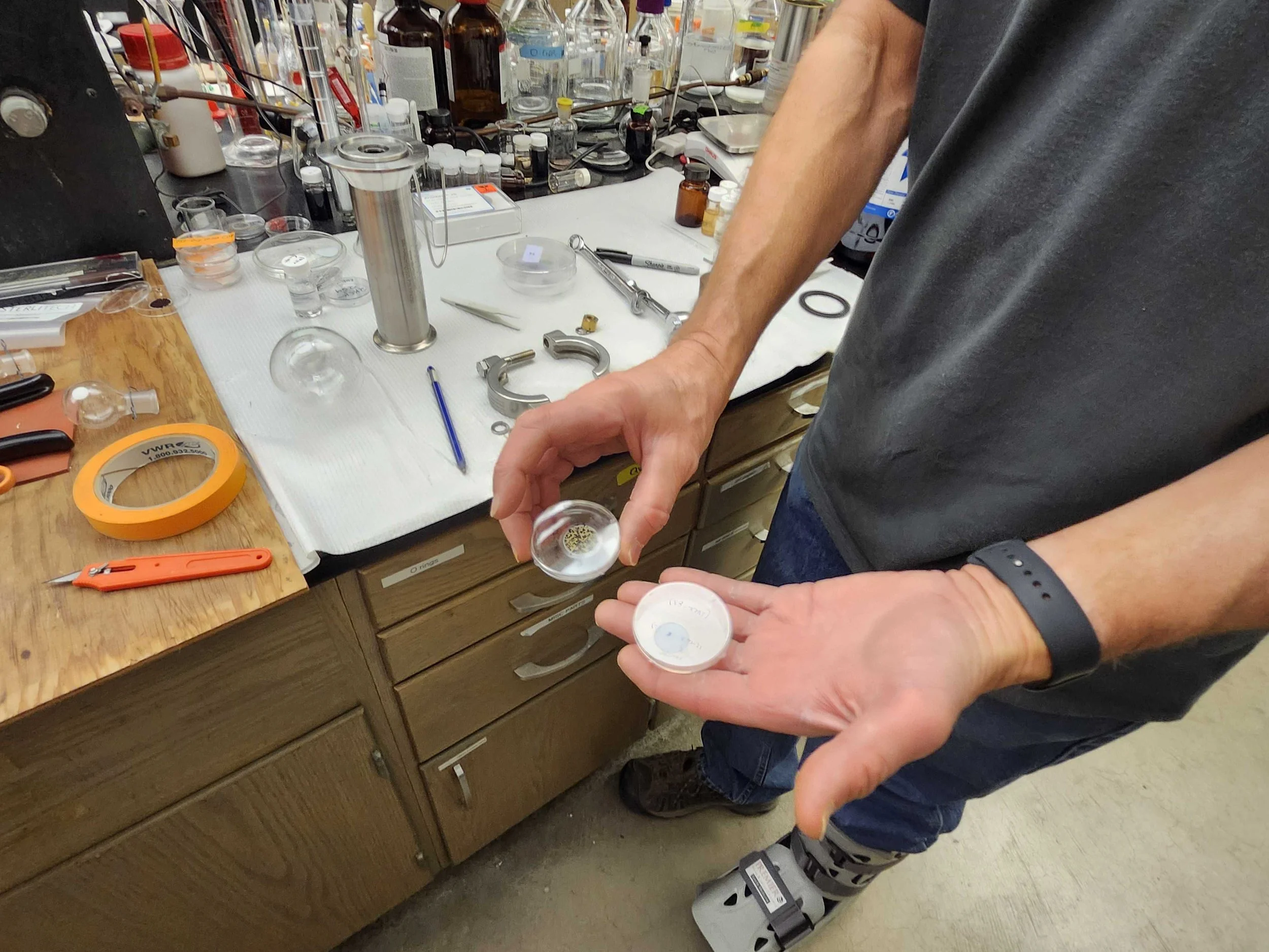 A researcher working with a lab dish