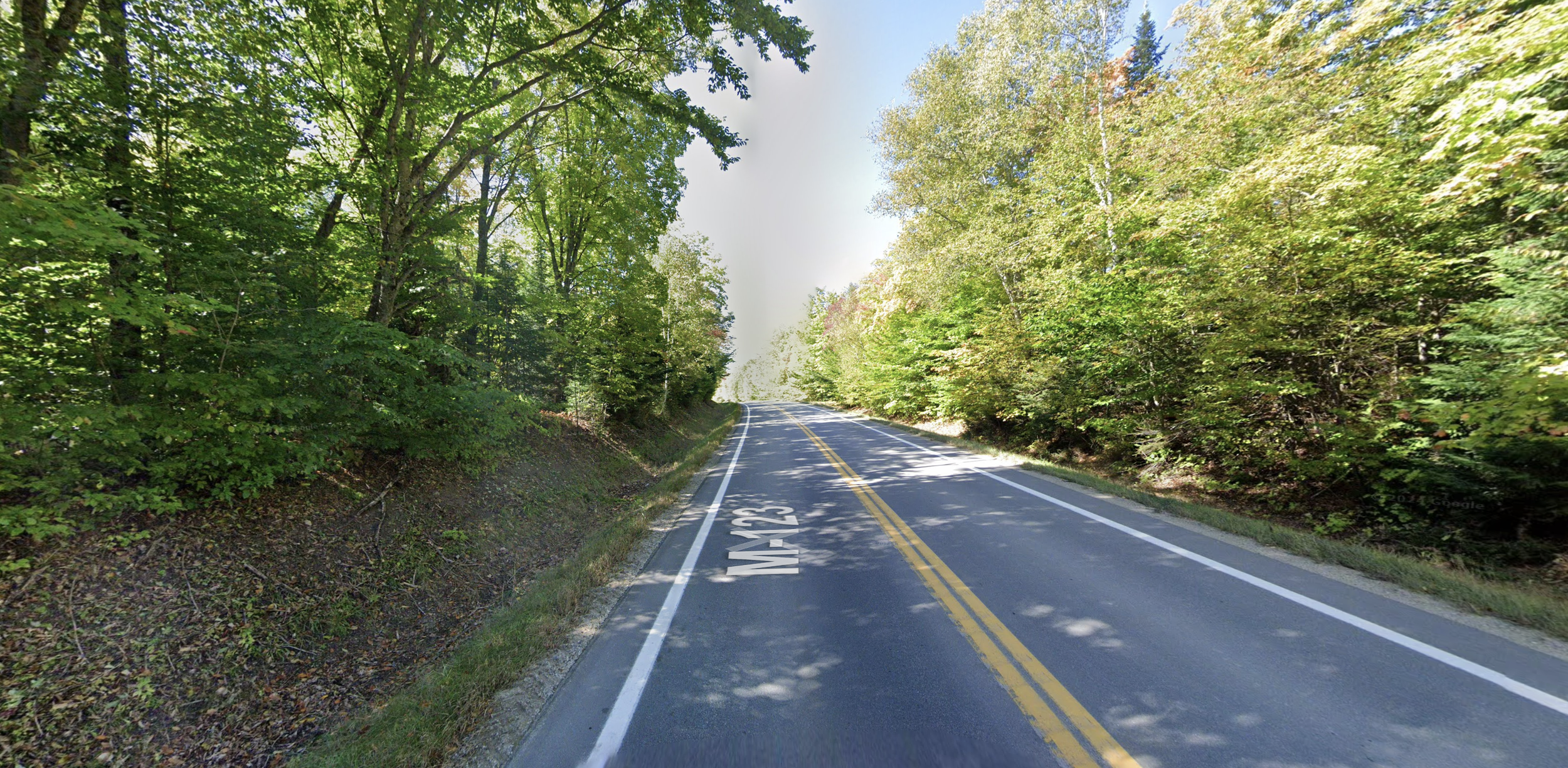 Michigan guess