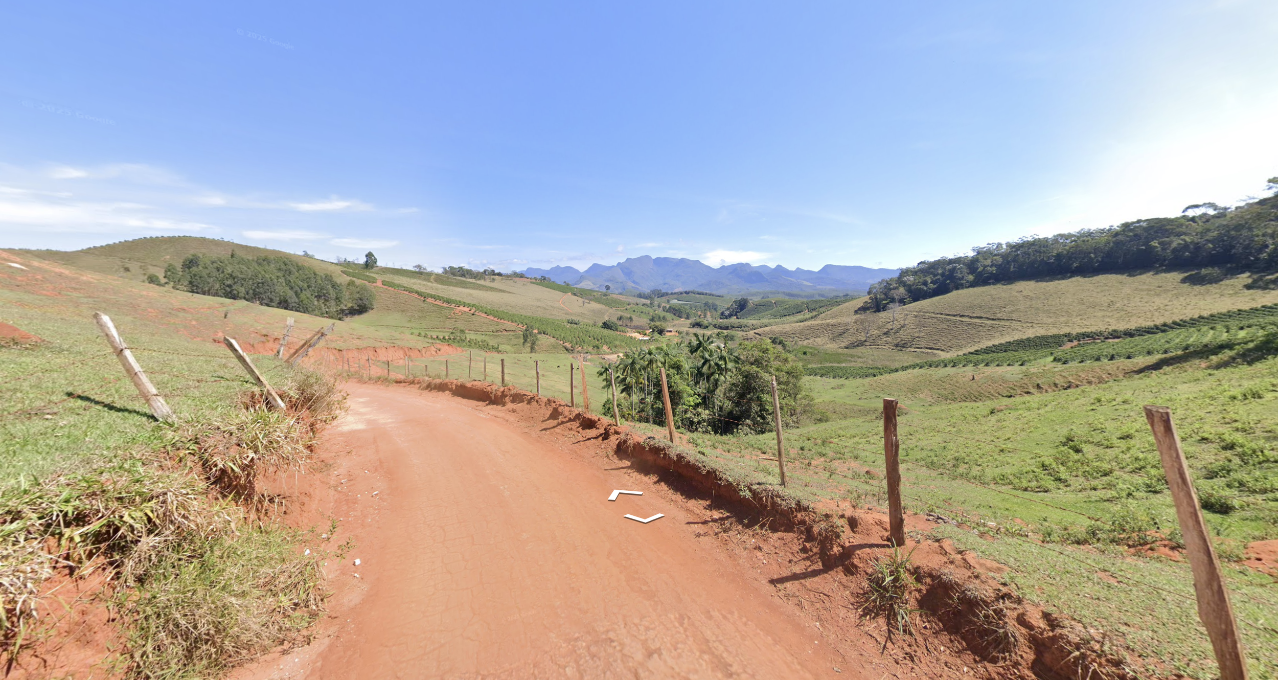 Coffee plantation example