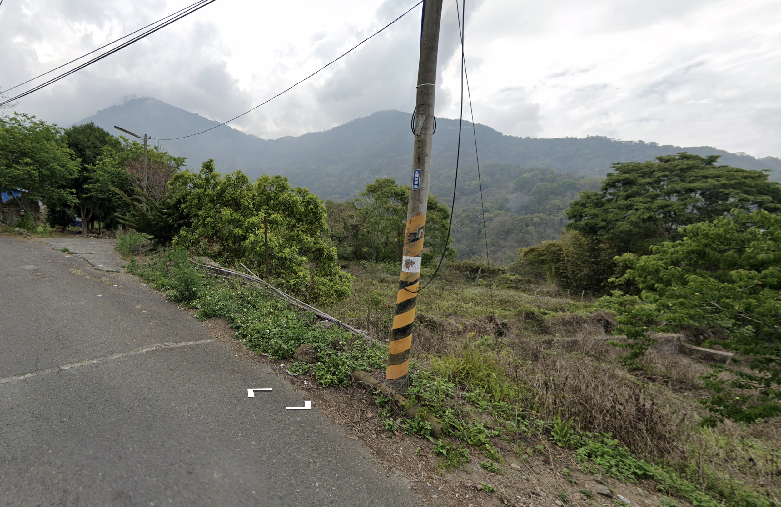 Taiwanese pole reflectors