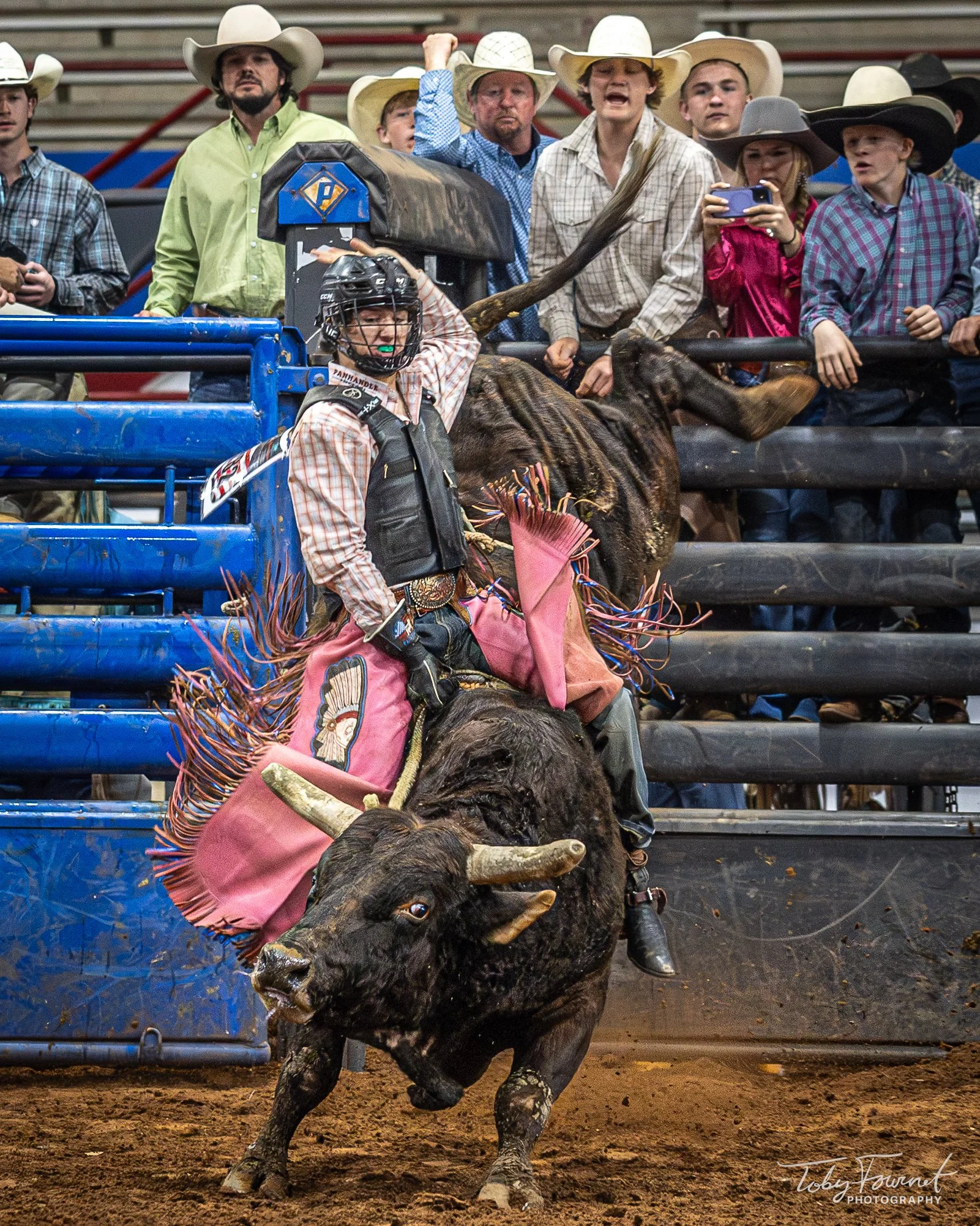 Bull rider in pink chaps riding out from the chutes