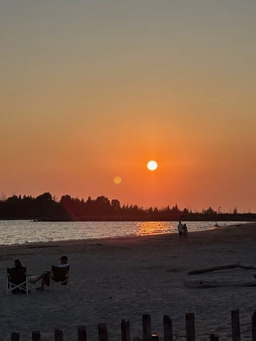 Picture of a large tree with a broken limb and major ice accretion