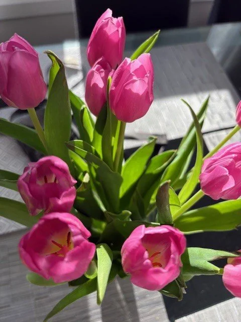 Picture of a large tree with a broken limb and major ice accretion