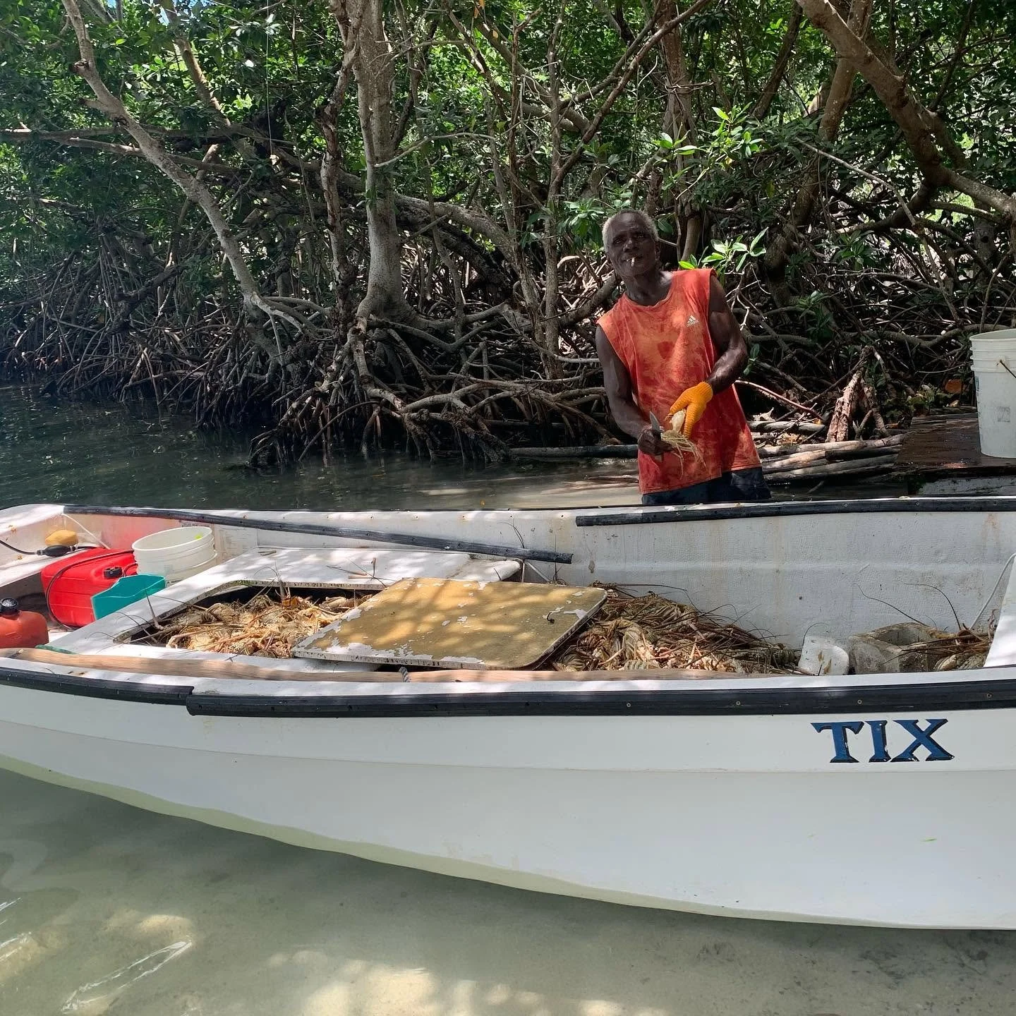 Local fisherman with boat full of fresh-caught lobsters, Caye Caulker