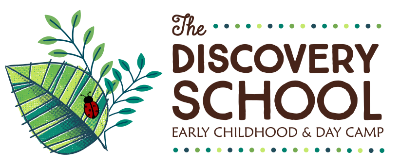 The Discovery School Day Camp logo
