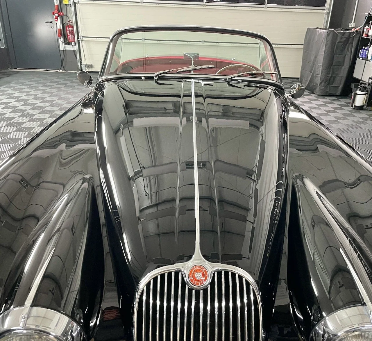 Jaguar XK150 Motorhaube nach Keramikversiegelung und mehrstufiger Lackkorrektur