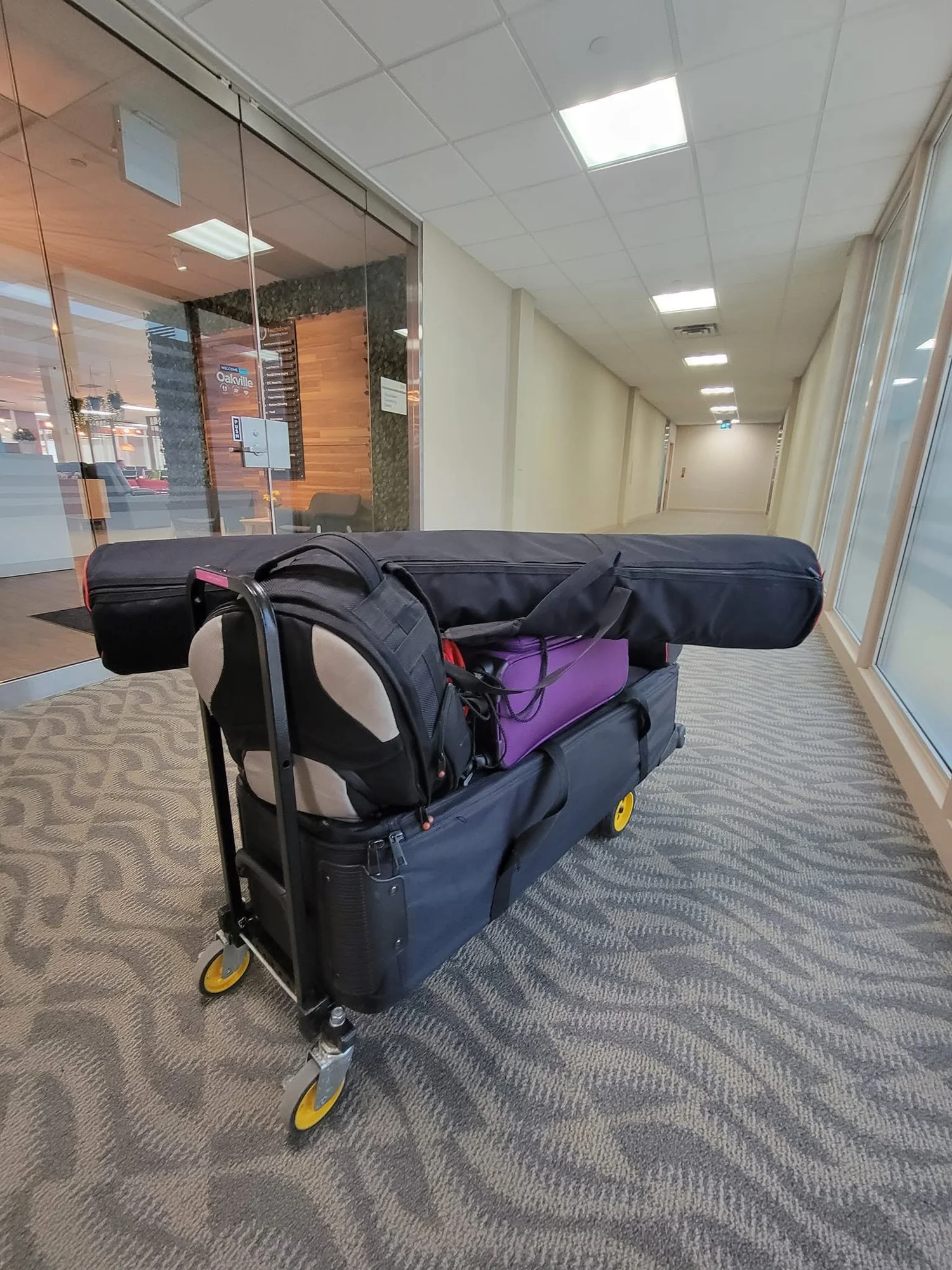 Ymaphoto's on-location headshot kit, lights and backdrop packed on a cart in an office corridor