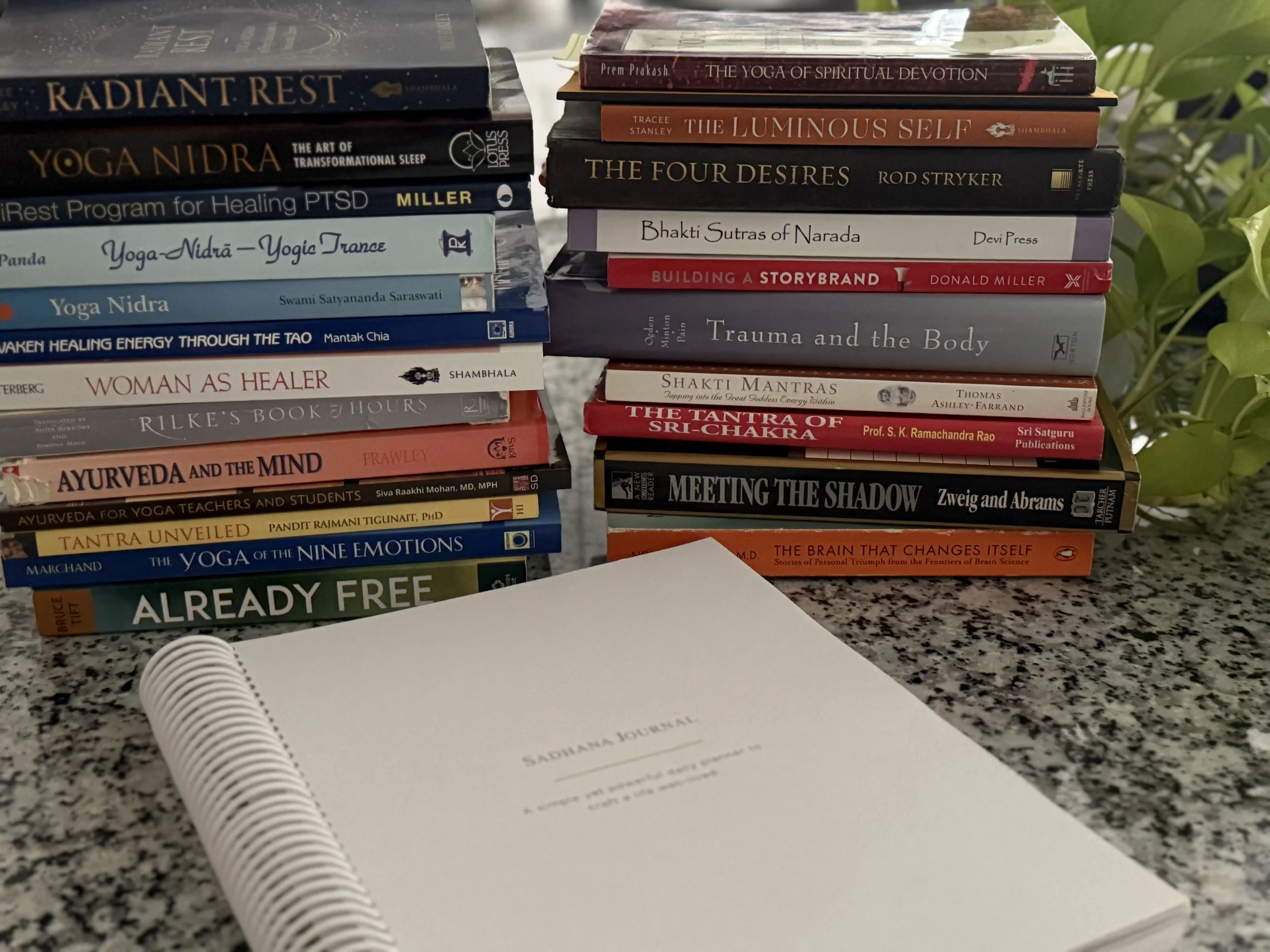 Stack of books representing the study behind ThriveWise Coaching