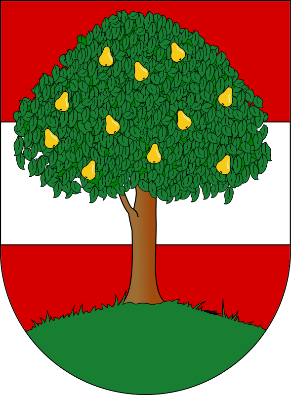 Wappen Dornbirn