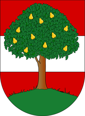 Wappen Dornbirn