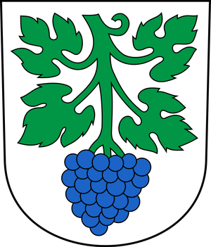 Wappen St. Margrethen
